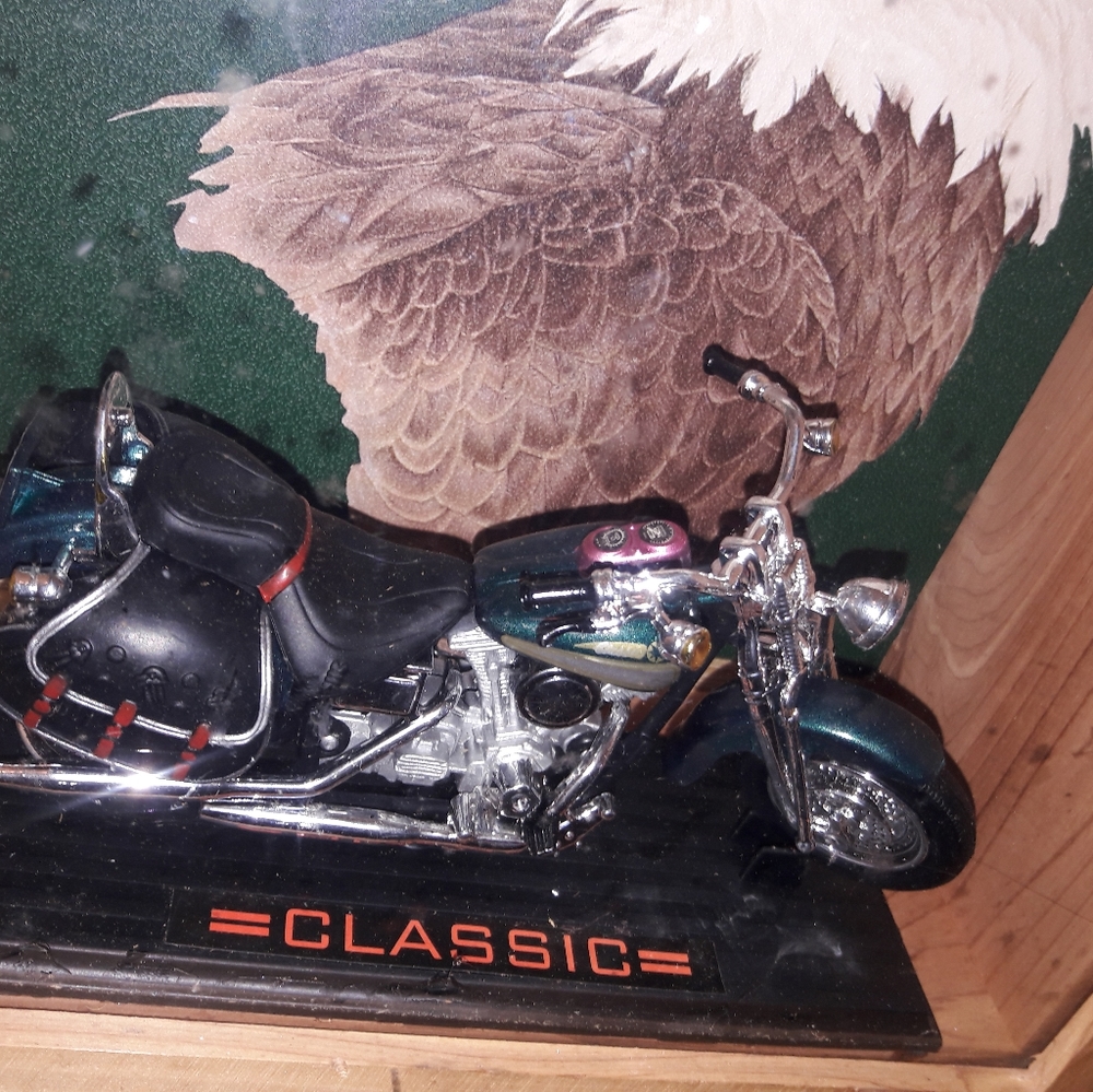 Motorcycle Shop Display - Picture 11 of 11